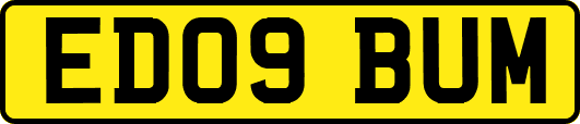 ED09BUM