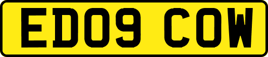 ED09COW