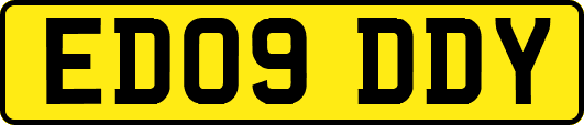 ED09DDY