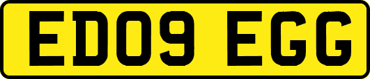 ED09EGG