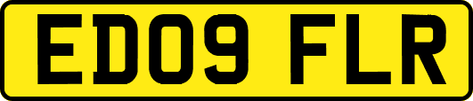 ED09FLR