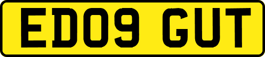 ED09GUT