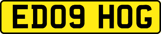 ED09HOG