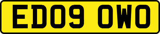 ED09OWO