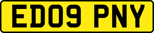 ED09PNY