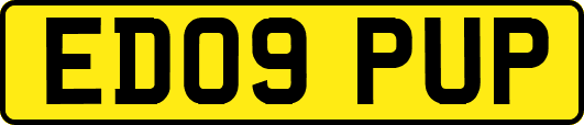 ED09PUP
