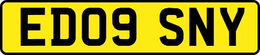 ED09SNY
