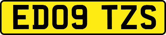 ED09TZS
