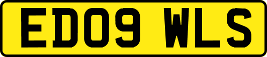 ED09WLS