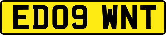 ED09WNT
