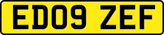 ED09ZEF
