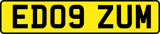ED09ZUM