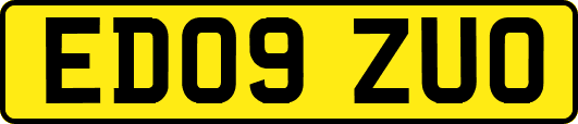 ED09ZUO