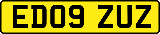 ED09ZUZ