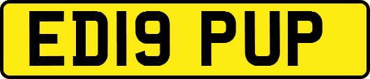 ED19PUP