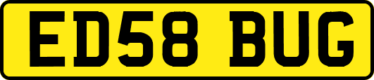 ED58BUG