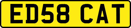 ED58CAT
