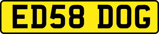 ED58DOG