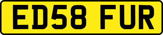 ED58FUR