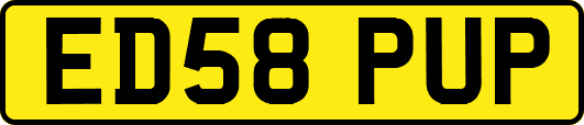 ED58PUP