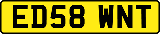 ED58WNT