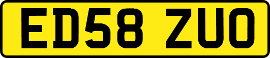 ED58ZUO