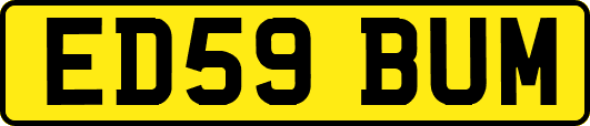 ED59BUM
