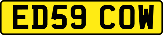 ED59COW