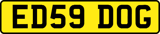 ED59DOG