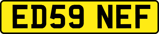 ED59NEF