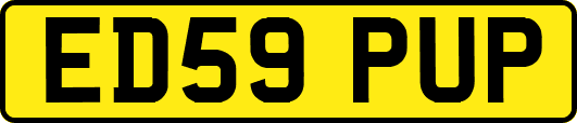 ED59PUP