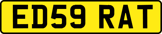 ED59RAT
