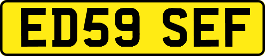 ED59SEF