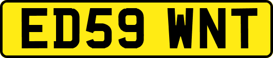 ED59WNT