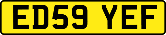 ED59YEF