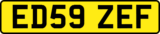 ED59ZEF