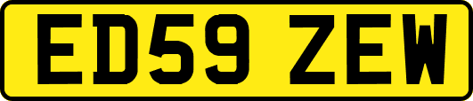 ED59ZEW