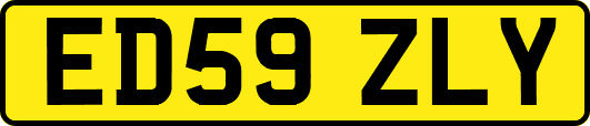 ED59ZLY