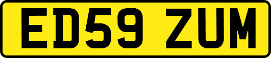 ED59ZUM