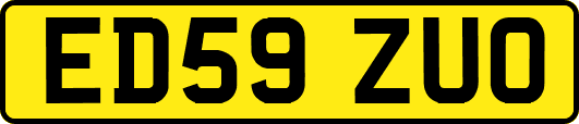 ED59ZUO