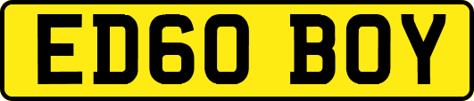ED60BOY