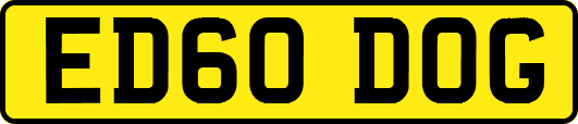 ED60DOG