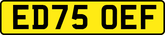 ED75OEF