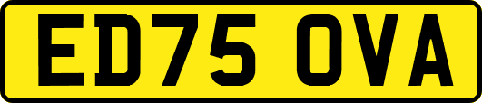 ED75OVA