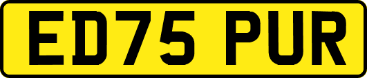 ED75PUR