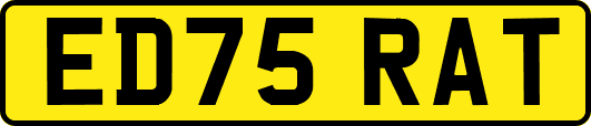 ED75RAT