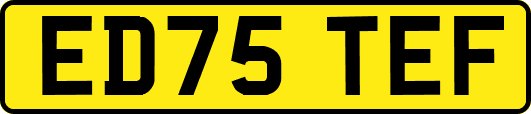 ED75TEF