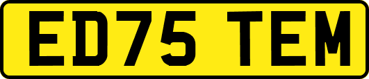 ED75TEM