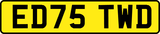 ED75TWD