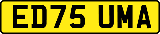 ED75UMA